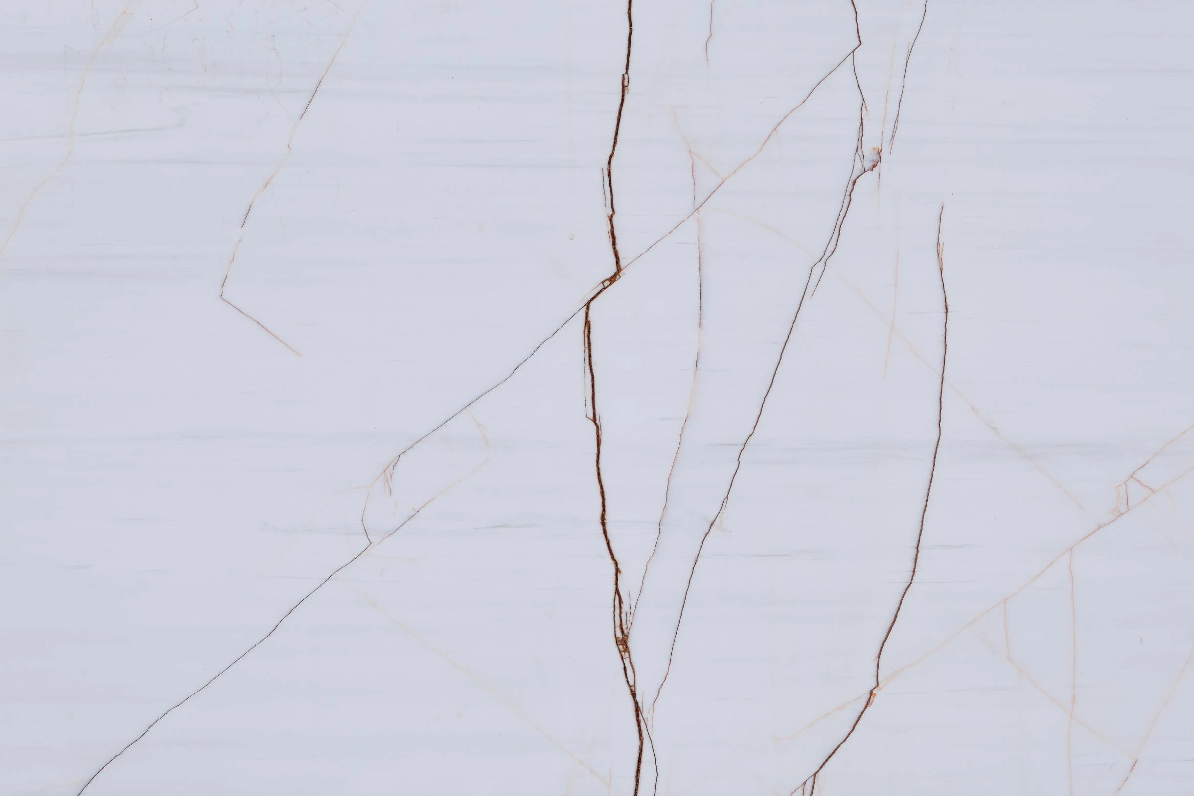 whitespider